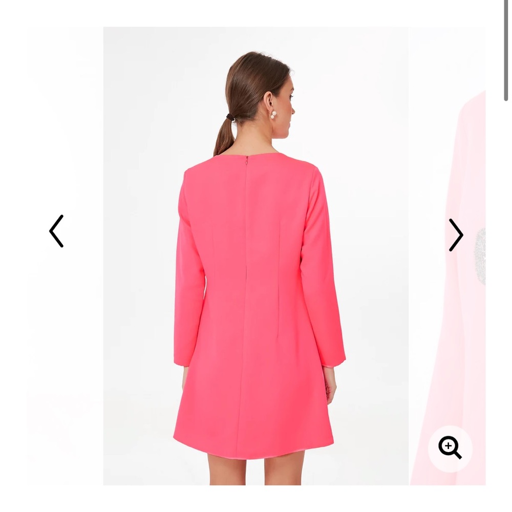 Pink Tuckernuck dress.